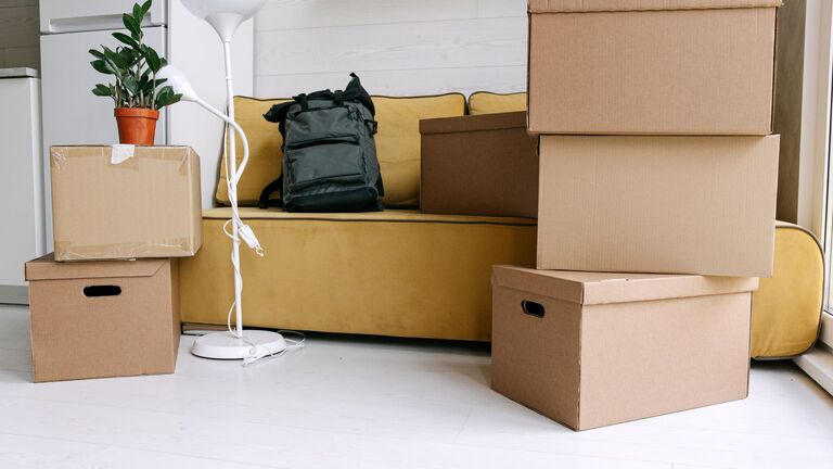 Cajas de cartón de distintos tamaños apiladas junto a un sofá, una lámpara de pie y una planta antes de guardarlos