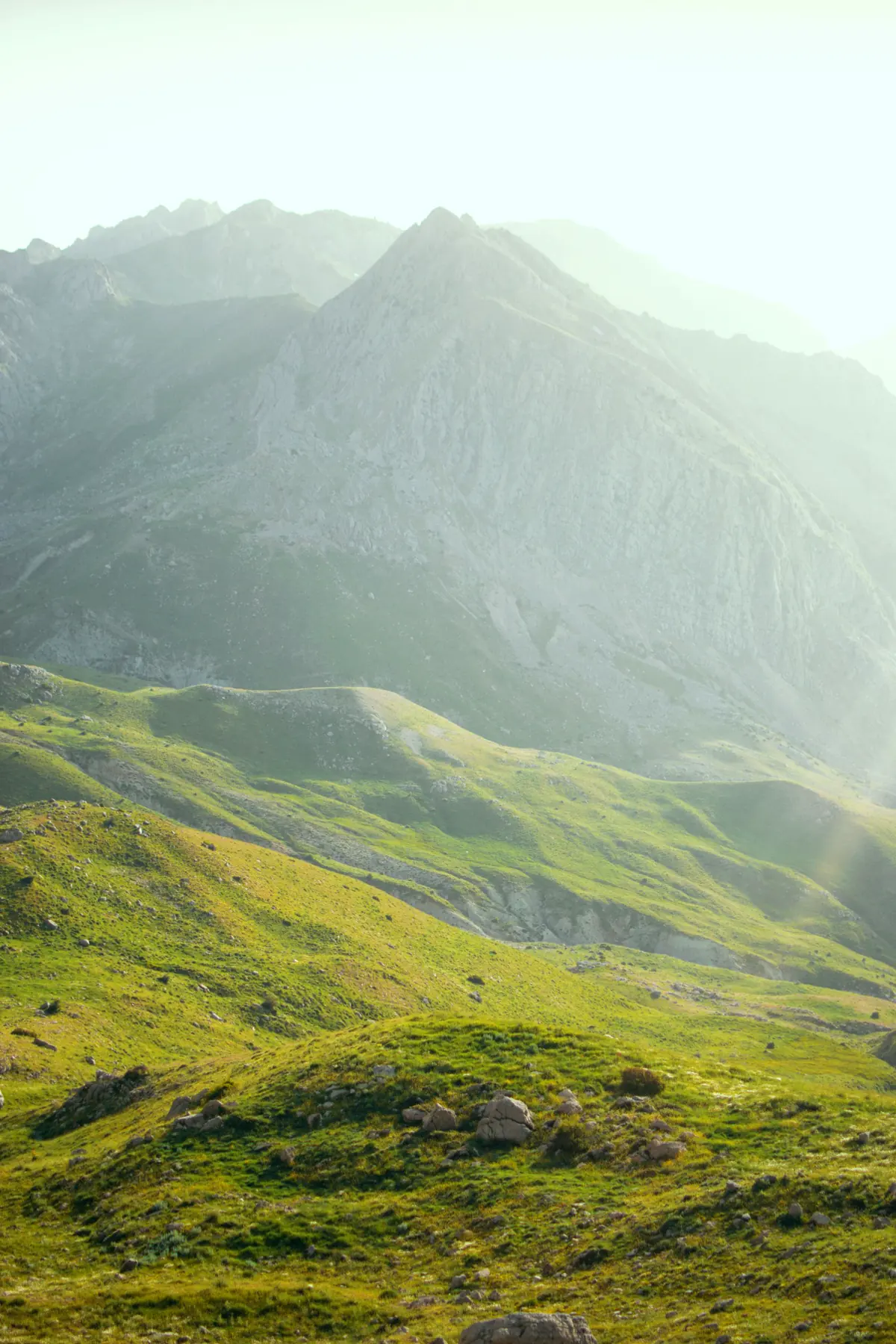 Paisaje de Navarra para el servicio de mudanzas en Navarra