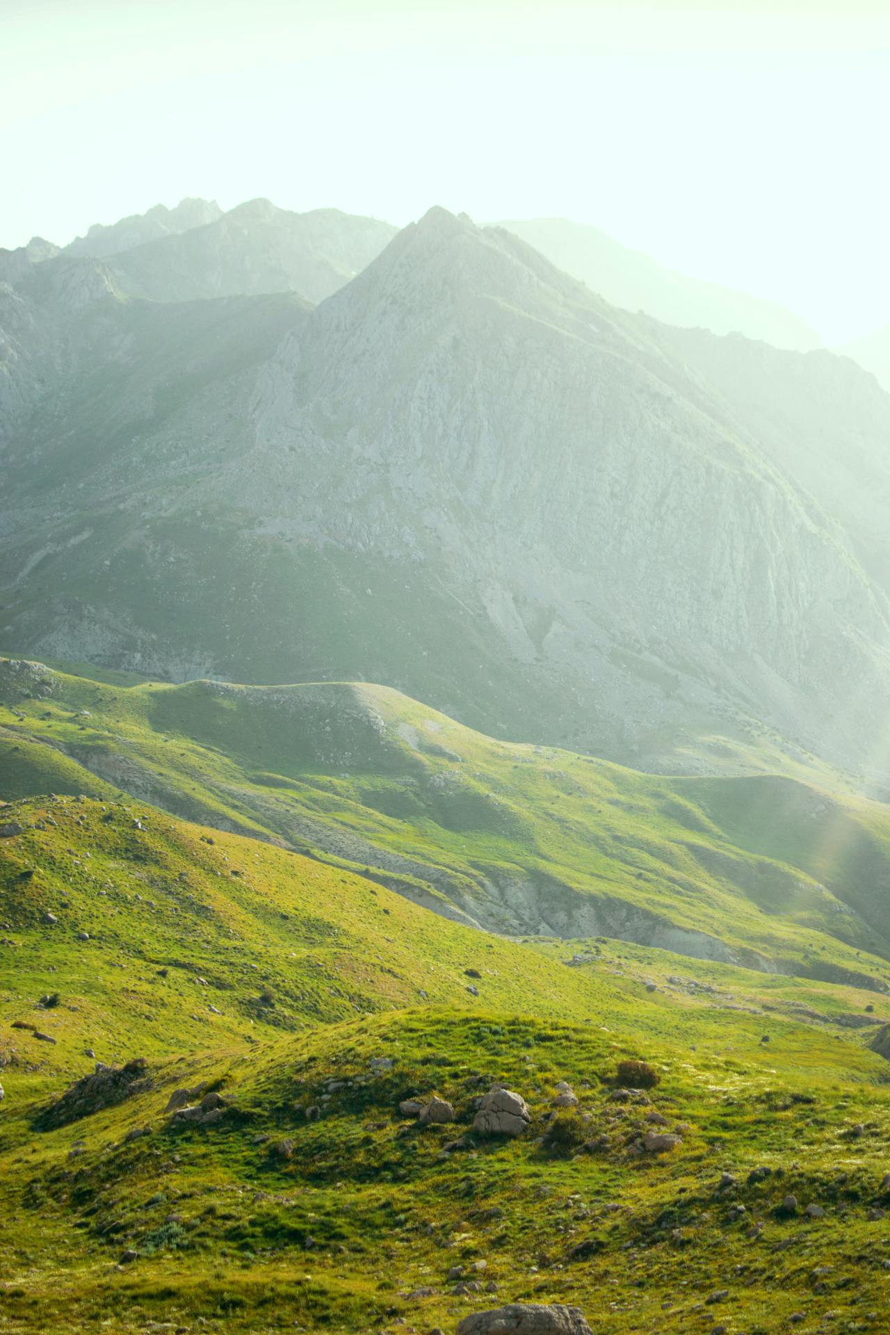 Paisaje verde de Navarra — Mudanzas La Seda Navarra, empresa de mudanzas en Pamplona y toda la Comunidad Foral
